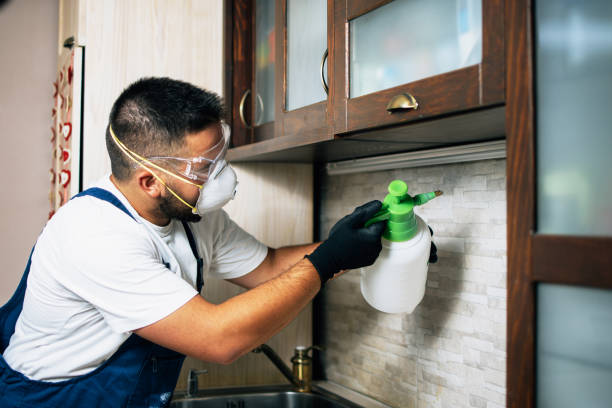 Best Pest Control for Businesses  in Fredonia, WI
