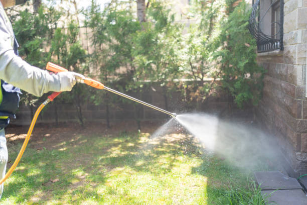 Best Emergency Pest Control  in Fredonia, WI