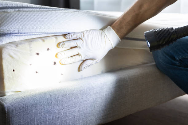 Best Pest Removal Services  in Fredonia, WI